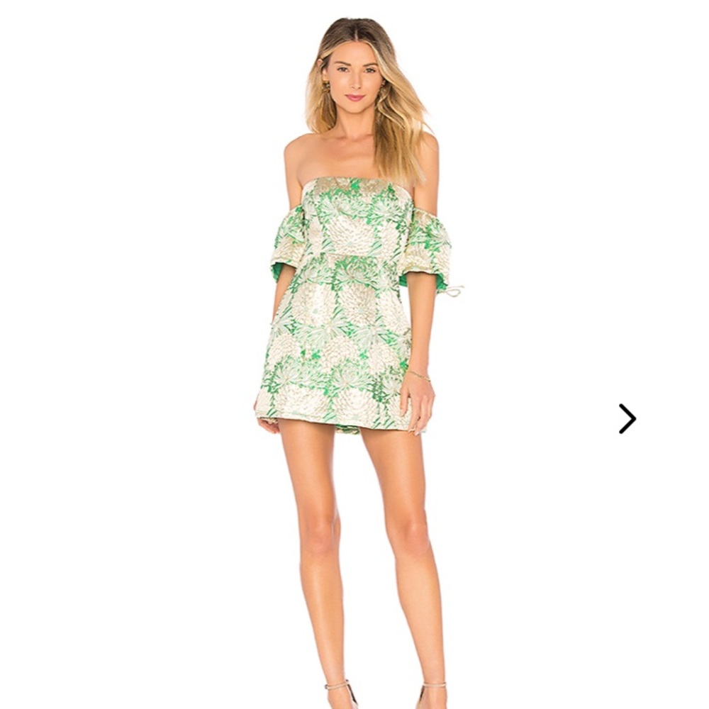 Lovers and Friends Allie mini dress